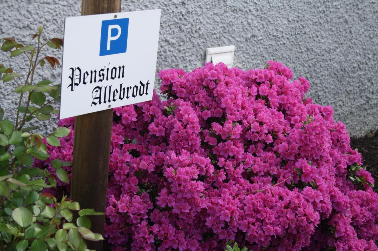 Pension / Ferienwohnung Allebrodt 레네슈타트 외부 사진