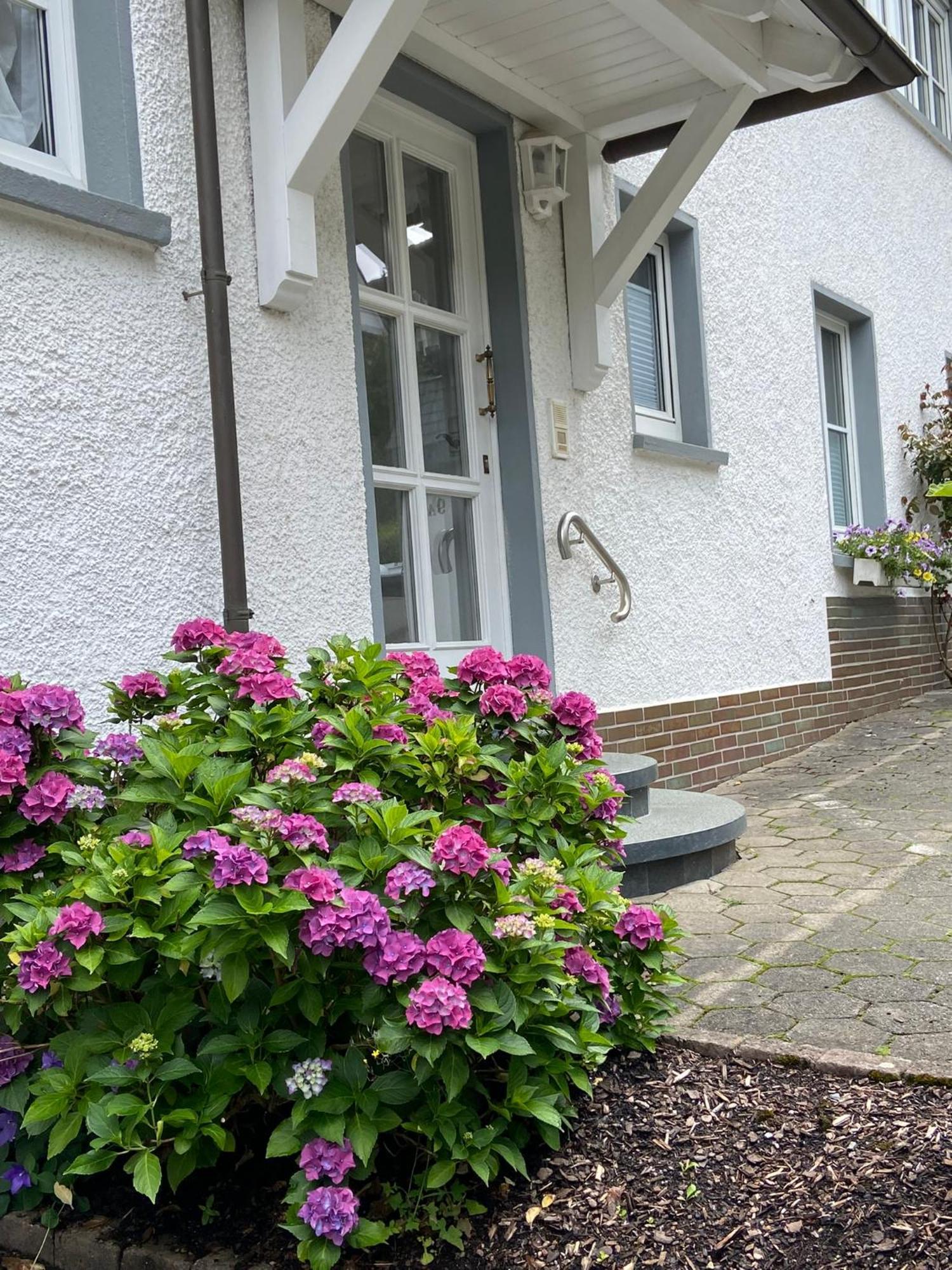 Pension / Ferienwohnung Allebrodt 레네슈타트 외부 사진